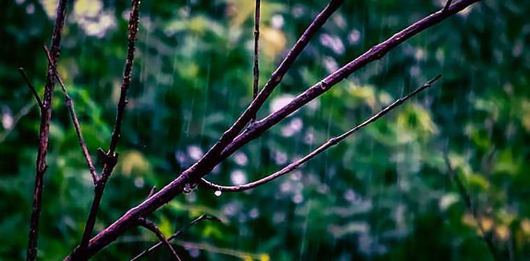 2018北京自考成绩查询时间及入口 2018北京自考成绩查询时间及入口