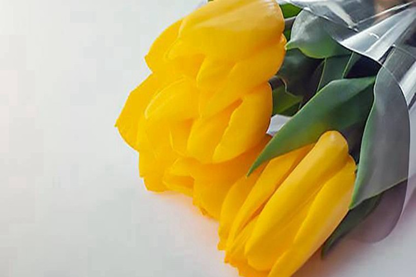 2019年下半年吉林成人教育学位英语查询入口 2019年下半年吉林成人教育学位英语查询入口