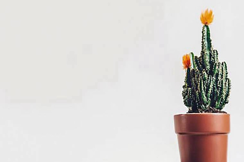 部队文职要求身体条件 体重标准是多少 部队文职要求身体条件 体重标准是多少