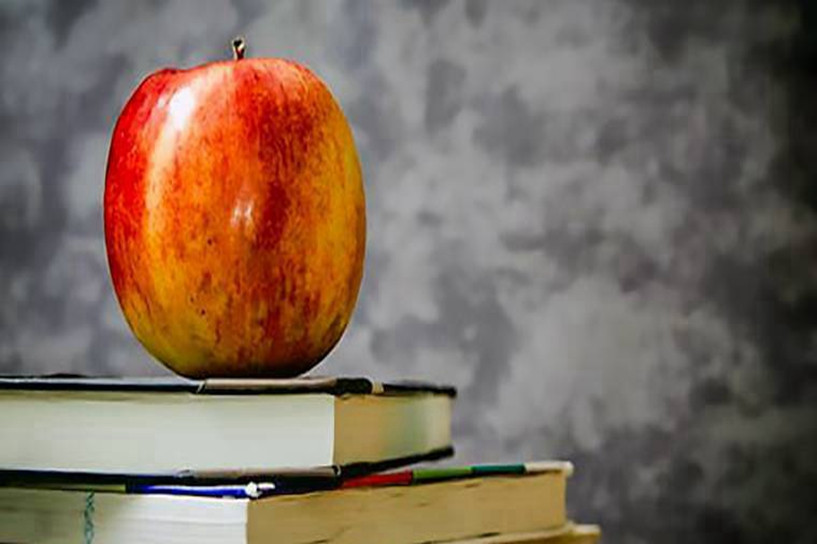 2023黑龙江成考比较实用的专业 招生专业一览表 2023黑龙江成考比较实用的专业 招生专业一览表