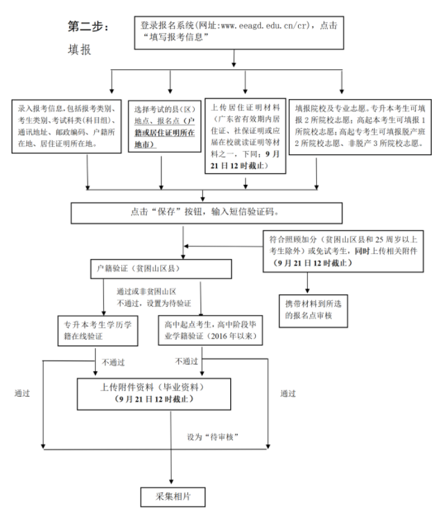 2024年广东成考报告流程图